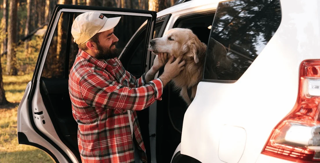 Golden Retrievers  Dog Safety Belt for GMC Terrain