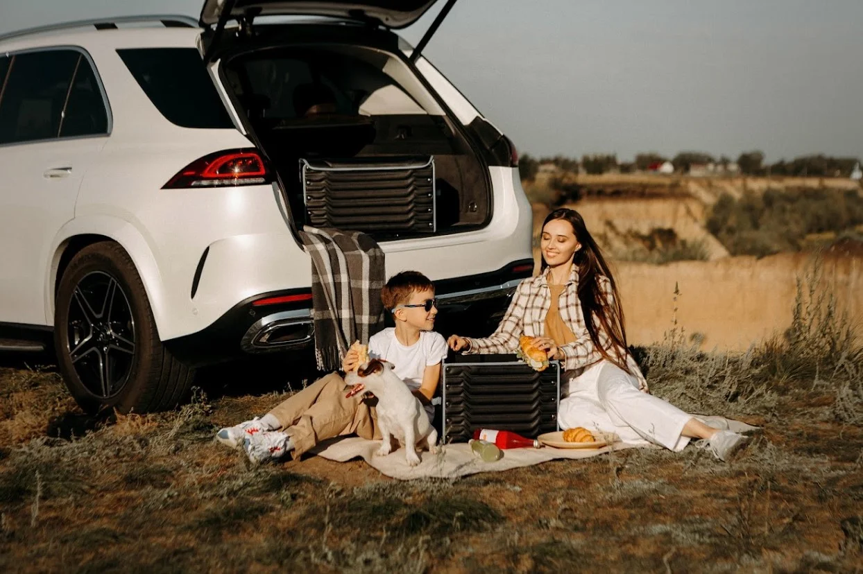 chic picnic blanket