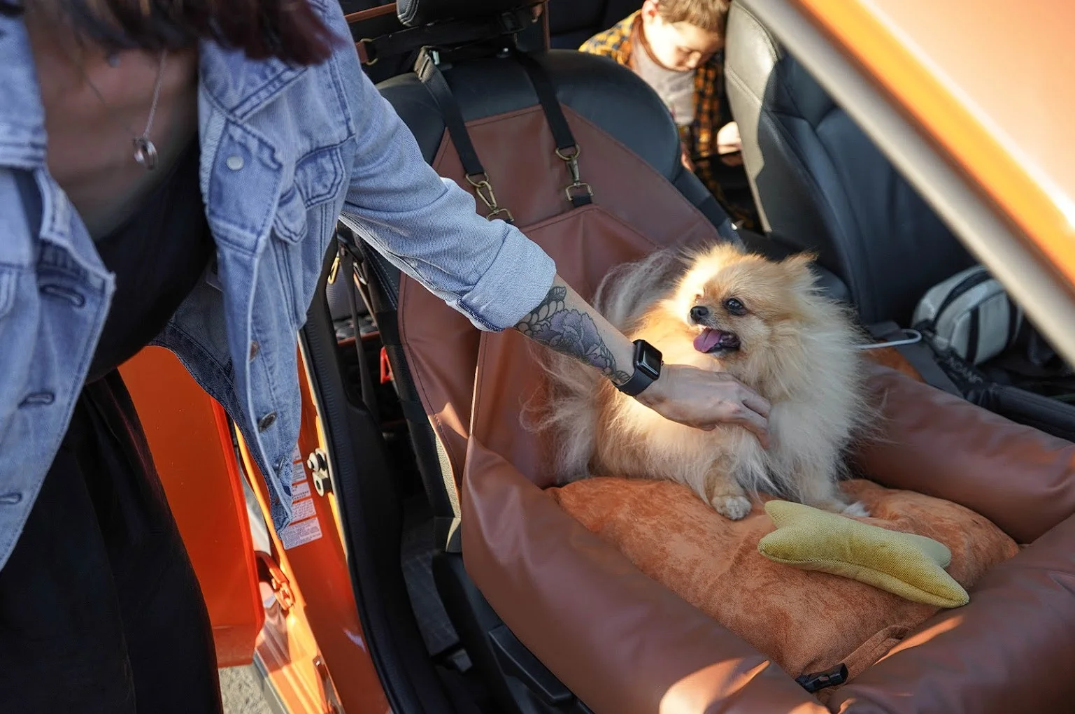 Chevrolet Camaro Dog Car Seat for Duck Tolling Retrievers